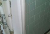 Bathtub Bottom Liner Need some Ideas Remodeling A Bathroom while Keeping the