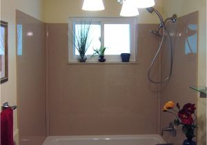 Bathtub Enclosures with Window Tub Surrounds