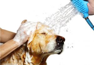 Bathtub for Dogs Pet Bath tool Shower Dog Washing Wonder Spray Type Massages Nozzle