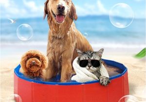 Bathtub for Dogs Pets Pvc Washing Pond Dog Tub Bed Foldable Pet Play Swimming Pool
