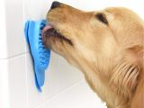 Bathtub Hose for Washing Dog Amazon Com Aquapaw Slow Treater Treat Dispensing Mat Suctions to
