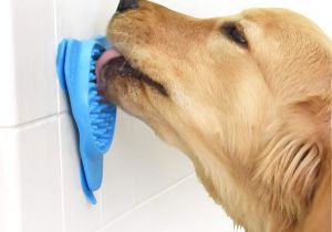 Bathtub Hose for Washing Dog Amazon Com Aquapaw Slow Treater Treat Dispensing Mat Suctions to