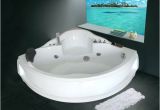 Bathtub Jacuzzi Portable Portable Whirlpool for Indoor Outdoor Great Joy