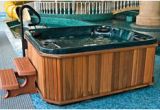 Bathtub Jacuzzi Repair Near Me Swimming Pool with Hot Tub Stock Image