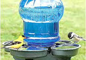 Bathtub Liner for Drinking Water Waterer – Bird Bath – the Avant Garden Shop