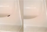 Bathtub Liner Repair Bathtub Chip Repair Porcelain Tub Chip Repair