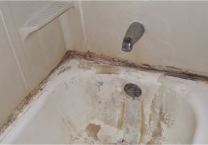 Bathtub Refinishing Buffalo Ny Trained Basement Odor Removal In Buffalo Ny Youtube