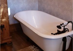 Bathtub Refinishing Denver 8 Best New Bathroom with Pine Floor and Clawfoot Tub Images On Pinterest