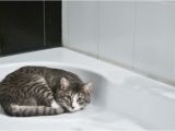 Bathtub Reglazing Utah Bath and Kitchen Repair and Resurfacing In Utah and