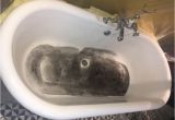 Bathtub Resurfacing Uk London Bath Resurfacing 0207 205 7177 Re Enamelling Bath