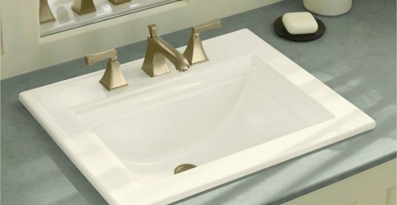 Bathtub Skins Inspirational Bathtub Skins Amukraine