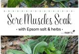 Bathtub soak for sore Muscles sore Muscles soak with Epsom Salt & Herbs