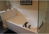 Bathtubs Edmonton Edmonton Bath Products Ltd In Edmonton Ab