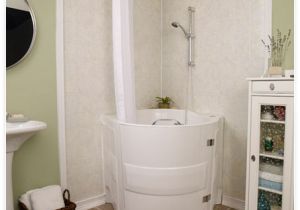Bathtubs for Elderly Download Interior Best Of Walk In Bathtubs for Seniors