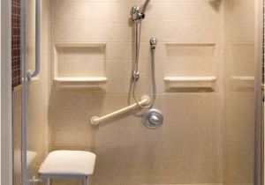 Bathtubs for Elderly or Handicapped Accessible Bathroom – atlanta Home Modifications Llc