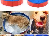 Bathtubs for Large Dogs Pet Swimming Pool Bathing Tub Foldable Bathtub Dog Cat