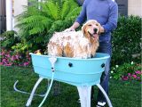 Bathtubs for Large Dogs the 25 Best Dog Bath Tub Ideas On Pinterest