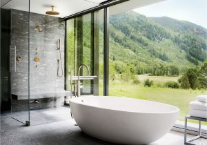 Bathtubs for Remodel 37 Stunning Showers just as Luxurious as Tubs S
