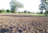Bathtubs for Sale In Uganda 20 Acre Land for Sale In Namungalwe Iganda