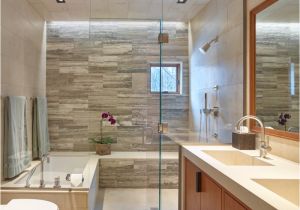 Bathtubs for Small areas Shower Bathtub Bo In Your Bathroom