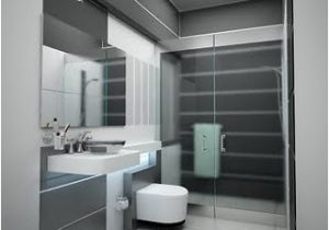 Bathtubs for Small Bathrooms India Mr Srinivasan Washroom Bathroom Designs Bangalore