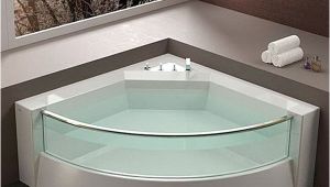 Bathtubs Modern or Small Bathtub Designs