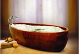 Bathtubs Modern T Bathtub