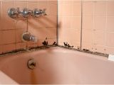 Bathtubs Nearby How to Prevent Bathroom Mold From Taking Over Allergy & Air
