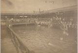 Bathtubs New York City From the Harvard Art Museums’ Collections Health Baths