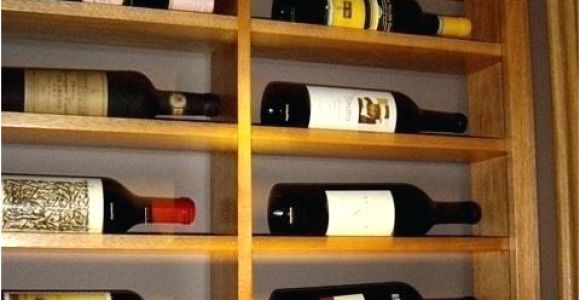 Bathtubs Over Broadway Dvd Horizontal Wine Bottle Holder – Shareshack