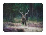 Bathtubs Red Deer Godpok Brown Animal solitary Red Deer Stag with Big