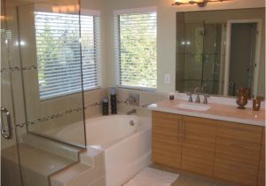 Bathtubs Remodeling Ideas Bath Remodel Tampa