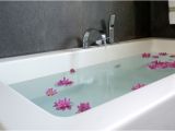 Bathtubs Seattle Bathtub Repair Refinish Reglaze Services