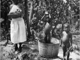 Bathtubs Trinidad Trinidad Bath Day Circa 1930 A Trinidadian Women Carries