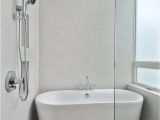 Bathtubs with Doors Bathroom Chic and Clean Bathtub with Glass Door and Charming