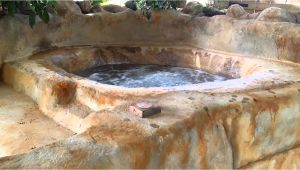 Bathtubs with Jacuzzi Jets Diy Hot Tub Spa Jacuzzi at the Worlds Most Luxury Tree