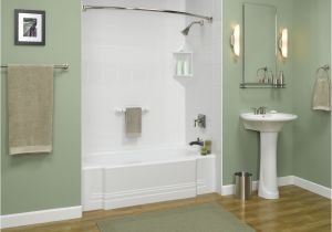 Bathtubs with Walls Acrylic Bathtub Liner & Enclosures