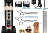 Battery Operated Heat Lamp for Dogs Amazon Com Focuspet Dog Grooming Clippers Professional 3 Speed Low