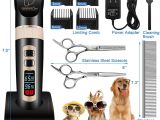 Battery Operated Heat Lamp for Dogs Amazon Com Focuspet Dog Grooming Clippers Professional 3 Speed Low
