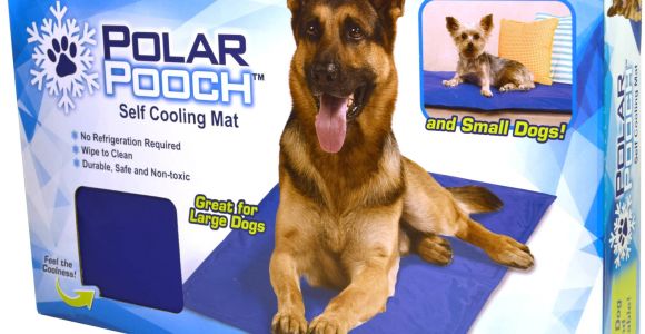 Battery Operated Heat Lamp for Dogs as Seen On Tv Polar Pooch Cooling Mat Walmart Com