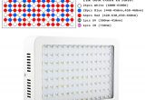 Battery Operated Led Lights Walmart Marswell Led Grow Lights Kit 1200w Double Chips Full Specturm 5 Bands Veg Flower Growing Lamp Kits for Indoor Plant Hydroponic Panel Fixture Bonsai