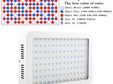 Battery Operated Led Lights Walmart Marswell Led Grow Lights Kit 1200w Double Chips Full Specturm 5 Bands Veg Flower Growing Lamp Kits for Indoor Plant Hydroponic Panel Fixture Bonsai