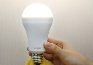 Battery Operated Light Bulb socket Sengled Led Emergency Light Bulb with Built In Rechargeable Battery