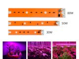 Battery Powered Grow Light Full Spectrum Led Plant Grow Light Led Cob Chip 30w 50w 80w 220v