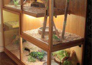 Bearded Dragon Viv Flooring Bearded Dragon Habitat 40 Pinterest Bearded Dragon Habitat