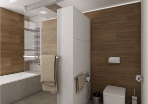 Beige Bathroom Design Ideas Luxusn­ Koupelna Beige Deluxe Pohled Od Umyvadla