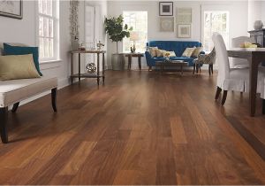 Bellawood Hardwood Floor Cleaner 3 4 X 3 1 4 Matte Brazilian Chestnut Bellawood Lumber Liquidators
