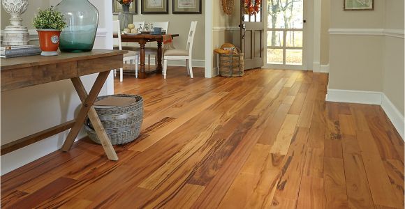 Bellawood Hardwood Floor Cleaner 3 4 X 3 1 4 Matte Brazilian Koa Bellawood Lumber Liquidators