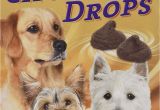 Bench and Field Dog Food Sanal Choco Drops Dog Snack 125 G Pack Of 6 Amazon Co Uk Pet