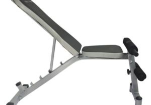Bench for Working Out Cosco Multi Functional Bench Buy Online at Best Price On Snapdeal